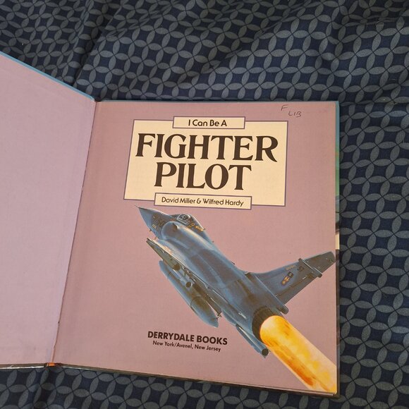 i can be a fighter pilot - Picture 3 of 7